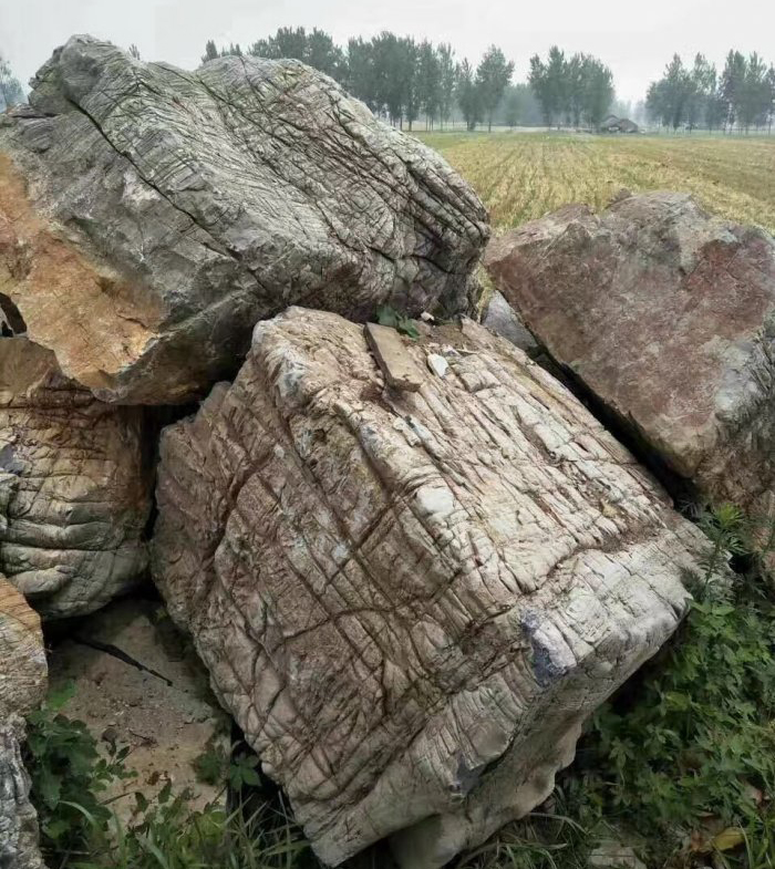 龟纹石